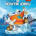 Miśków 2-óch w Nowym Jorku