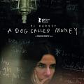 PJ Harvey. A Dog Called Money