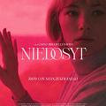 Niedosyt
