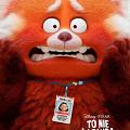 To nie wypanda (dubbing)