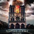 Notre Dame płonie