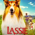 Lassie. Nowe przygody (dubbing)