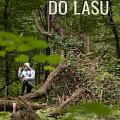 Wycieczka do lasu