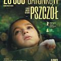 20000 gatunków pszczół