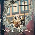 Wojna porcelanowa