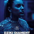 Dziki diament