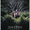 Grzyby