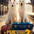 O psie, który jeździł koleją 2