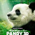 Pandy 3D (dubbing)