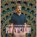 Paw zwyczajny